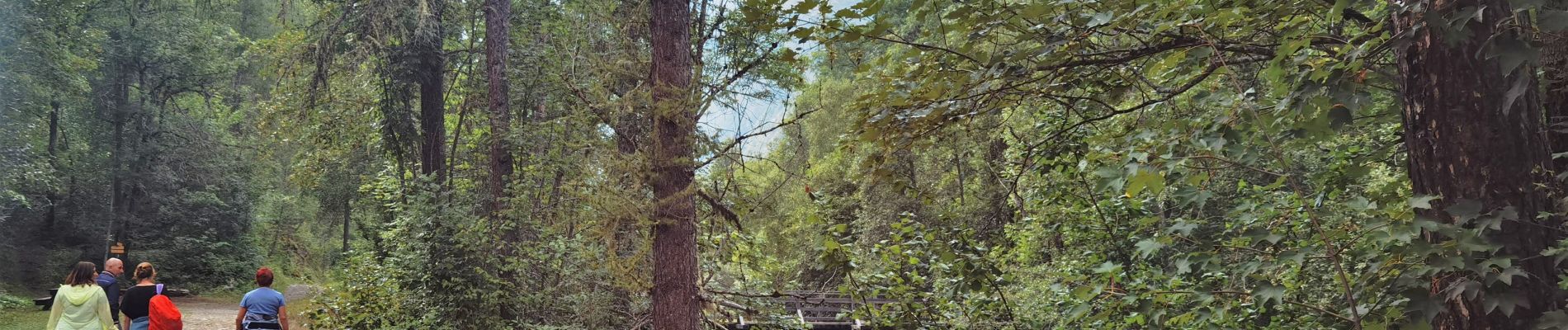 Trail Walking Vallouise-Pelvoux - vallouise cascade la pissette - Photo