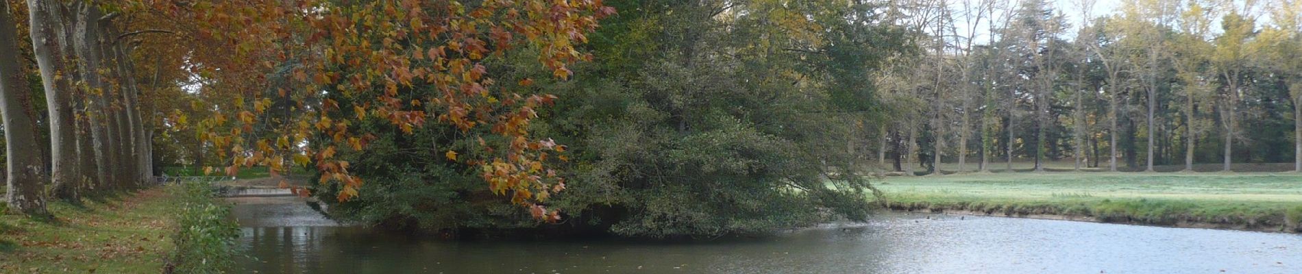 Tocht Te voet Montferrand - Le Seuil de Naurouze par Avignonet-Lauragais - Photo