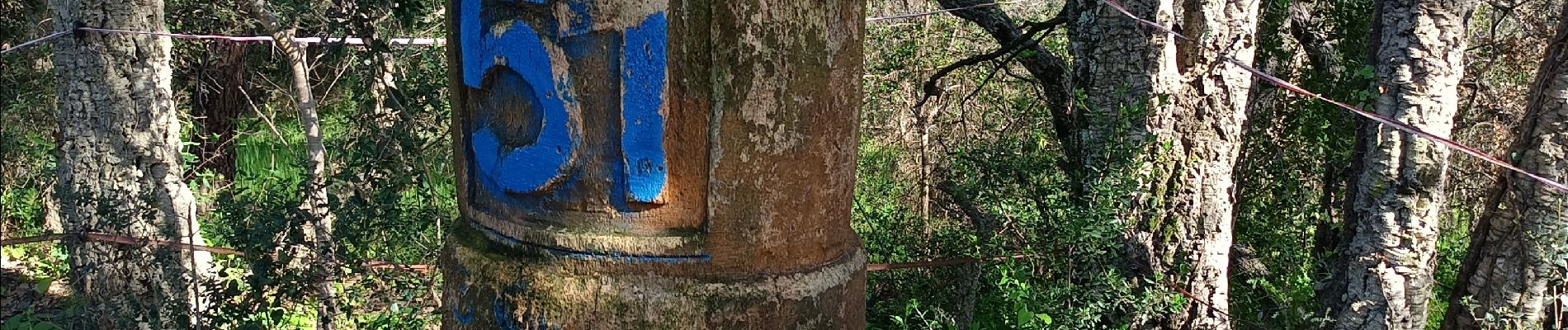 Randonnée Marche Roquebrune-sur-Argens - Les trois Croix, Roquebrune sur Argens  - Photo