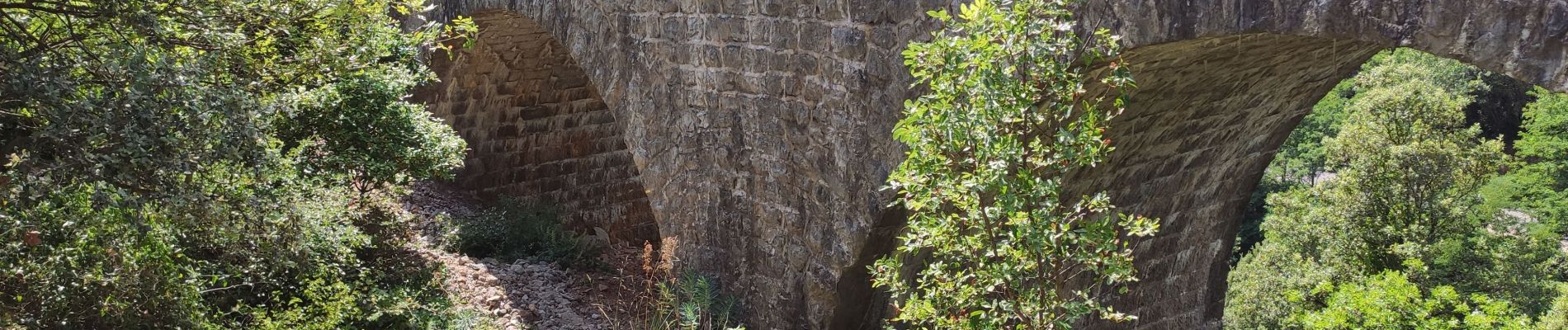 Excursión Senderismo Sumène - Sumène - Pont des chèvres - Photo