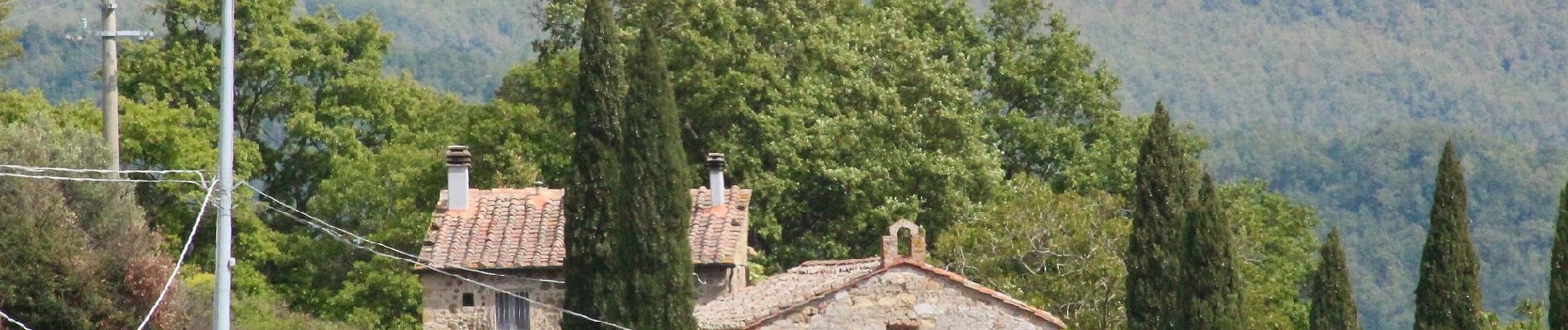 Tocht Te voet Pomarance - La Serra-Villa di Monterufoli - Photo