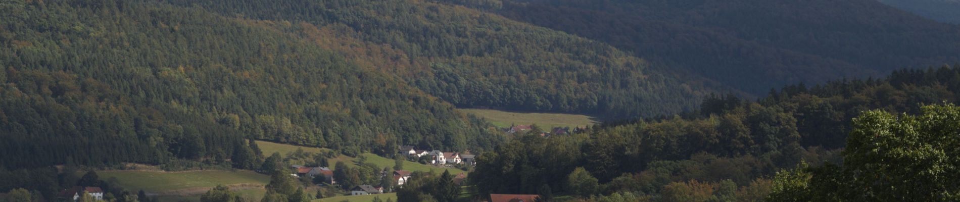 Tocht Te voet Ebersburg - Rhön-Rundweg 1 Wachholderhuette - Photo