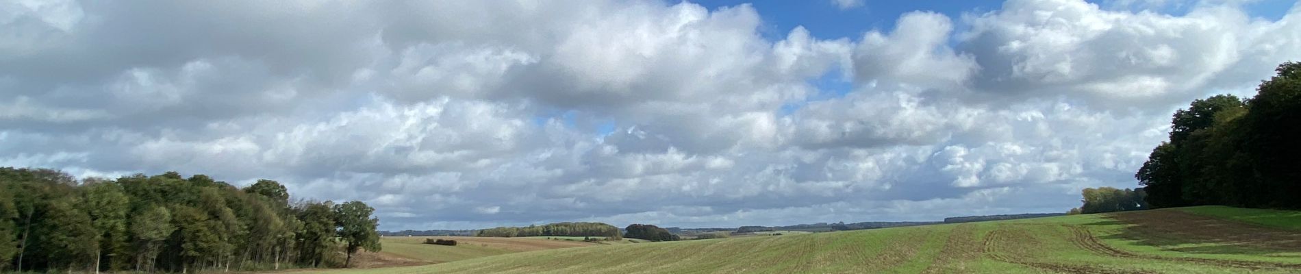 Tour Wandern Gerpinnes - Tournibus toujours  - Photo