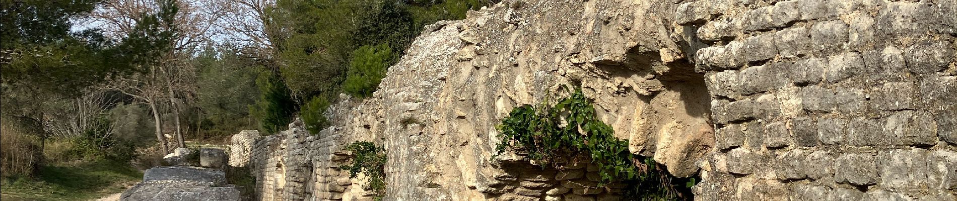 Excursión Senderismo Fontvieille - Les moulins de fontvieille - Photo