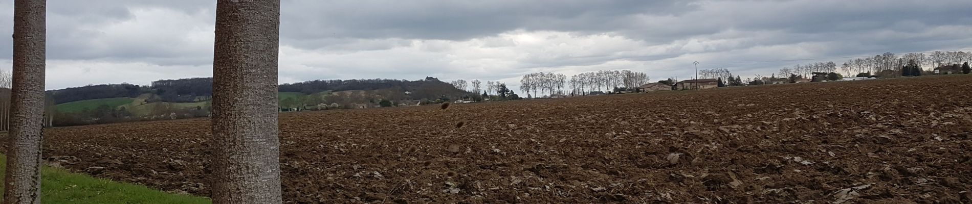 Trail Walking Valence - Cornillas, Le vignoble, Peyrandieu - Photo