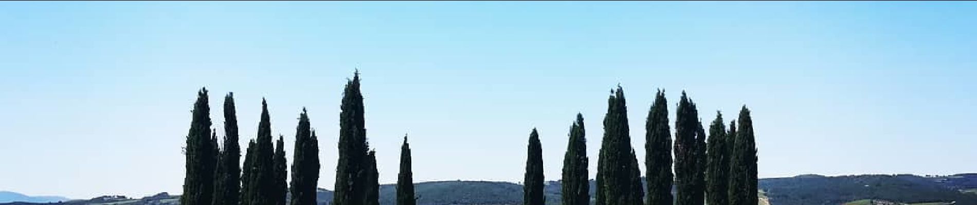 Tocht Te voet Montalcino - IT-2 - Photo