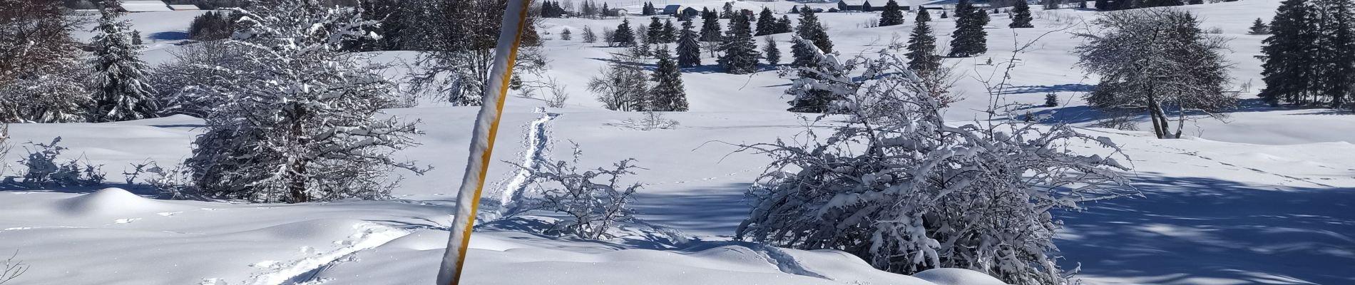 Tocht Sneeuwschoenen La Pesse - L'Embossieux-La Croix des couloirs-La Pesse - Photo
