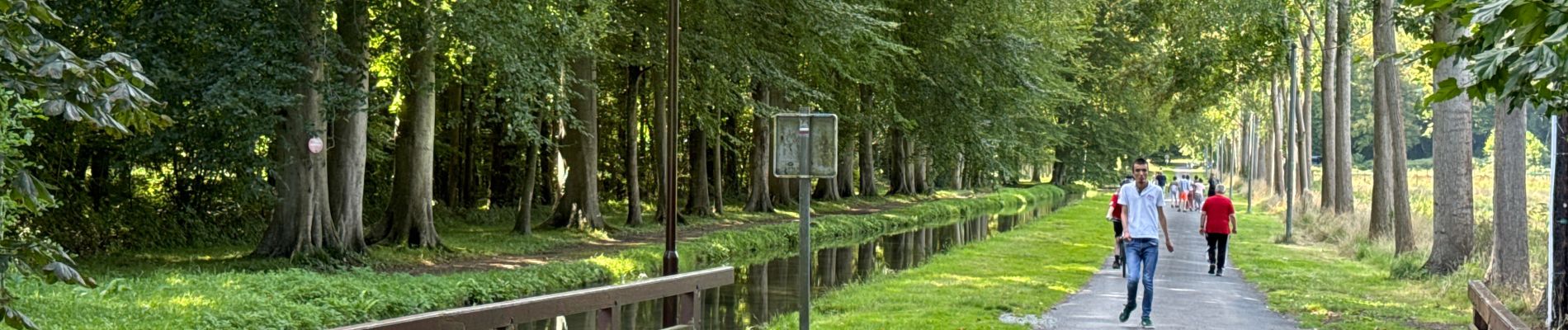 Tocht Wegfiets Saint-Pierre-en-Port - Les grandes dalles (pays de Caux) - Photo