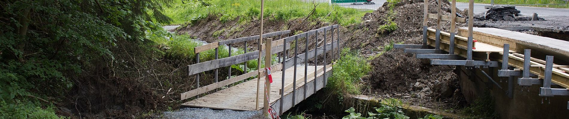 Percorso A piedi Langenbacher Forst - Frankenwaldsteigla 12-Apostel-Weg - Photo