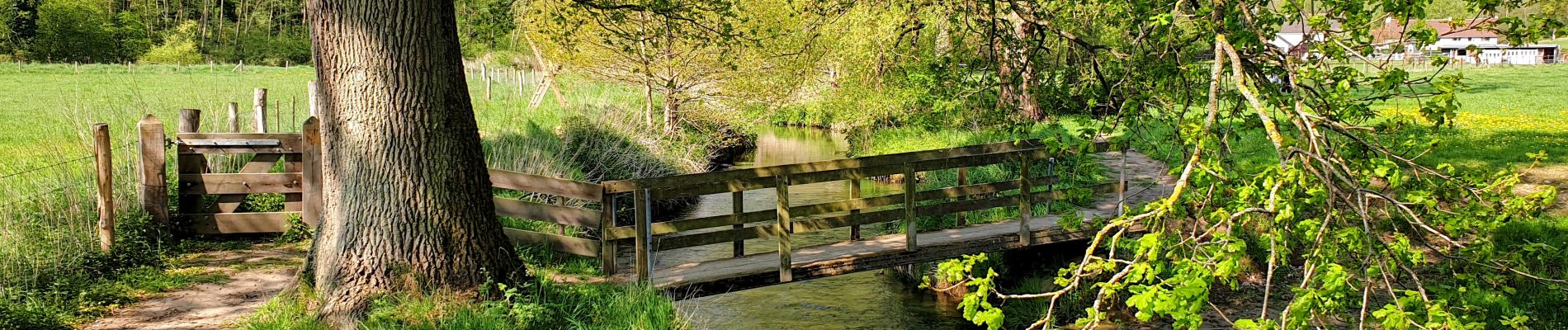 Tour Wandern Huldenberg - Terlanen - Photo