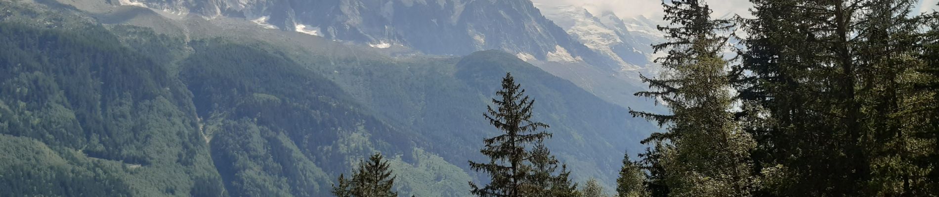 Tour Wandern Chamonix-Mont-Blanc - Les Tines ,les Bois,les Mottets,Chamonix et retour par petit balcon sud - Photo