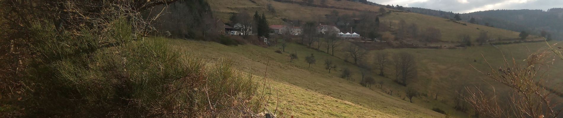 Randonnée Marche Saint-Étienne - Salvaris- La Barbanche-Charteloup - Photo