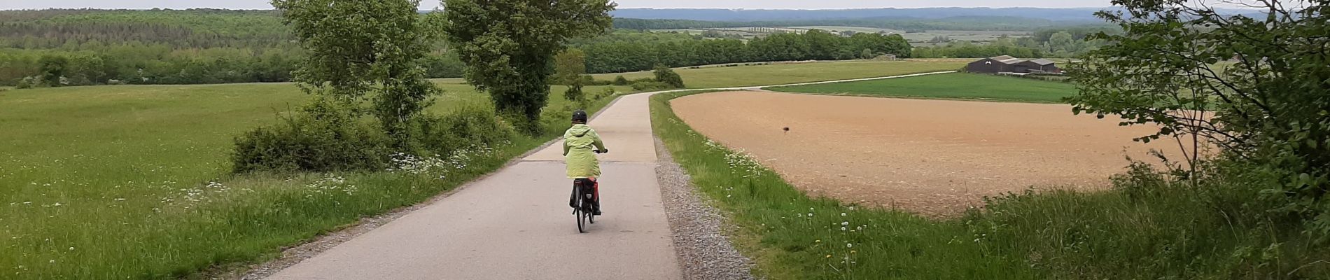 Excursión Bici eléctrica Wellin - Froidlieu-Ave-Lessive-Villers-Lavaux-Froidlieu - Photo