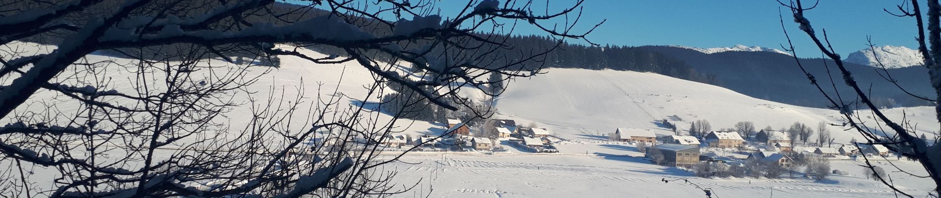 Trail Snowshoes Autrans-Méaudre en Vercors - Pas de Pertuson en circuit - Photo