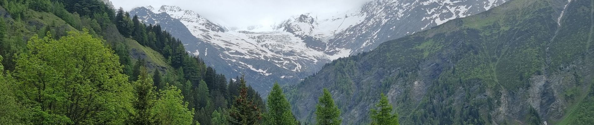 Tocht Stappen Saint-Gervais-les-Bains - Bionnassay - Photo