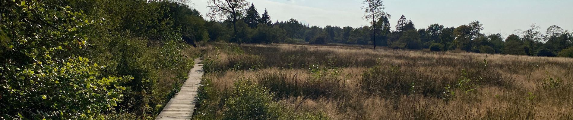 Randonnée Marche Montjoie - Mützenich Ternell 22 km - Photo