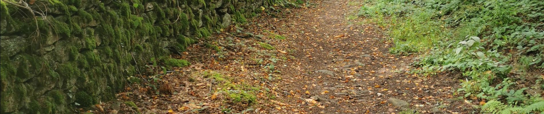 Tocht Stappen Autun - La pierre de couhart - Photo