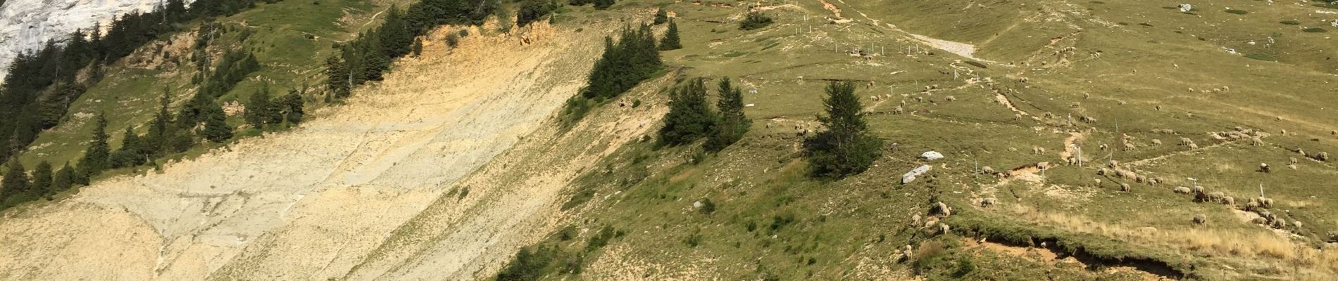 Tour Wandern Saint-Pierre-de-Chartreuse - Col de Pravouta en boucle - Photo