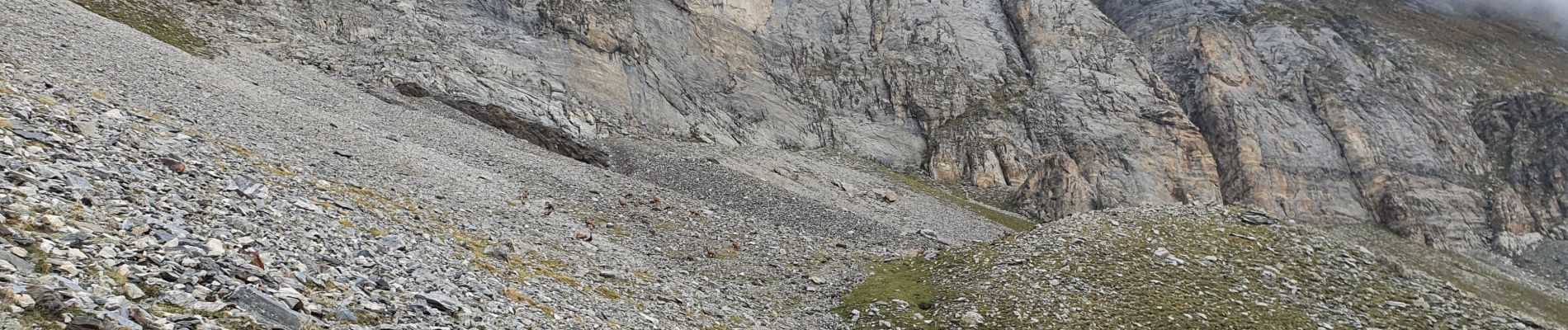 Trail Walking Aragnouet - Lac de Barroude avec Blajan - Photo