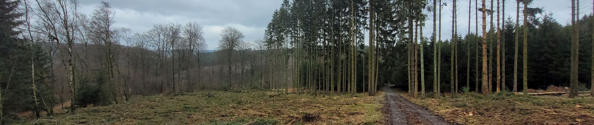 Tocht Stappen Manhay - rando dochamps 20-02-2024 - Photo