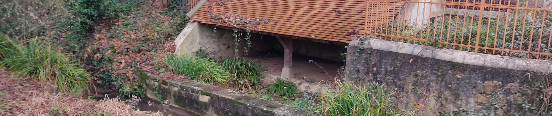 Randonnée Marche Forges-les-Bains - fortes - Photo