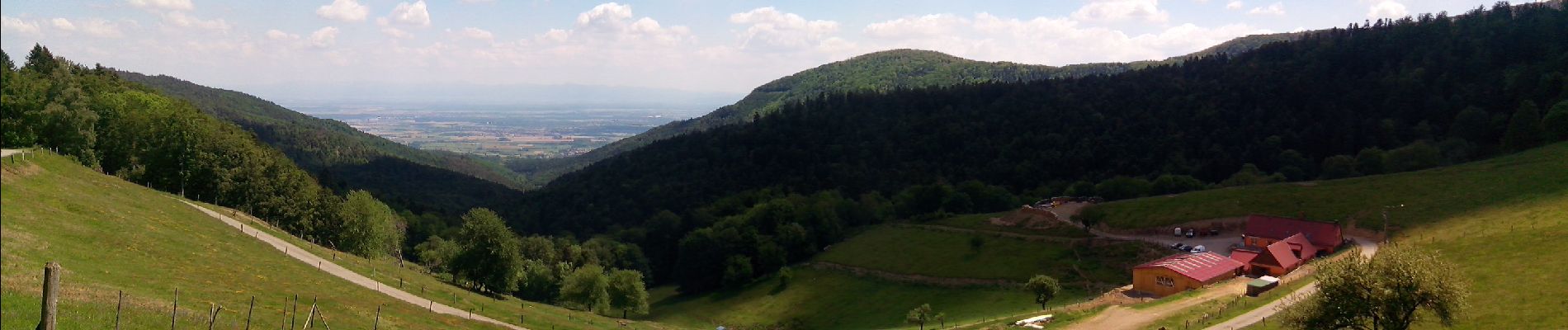 Tour Elektrofahrrad Moosch - Pélerinage à Thierenbach - Photo