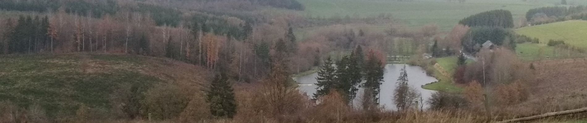 Percorso Corsa a piedi Vaux-sur-Sûre - Losange tour - Photo