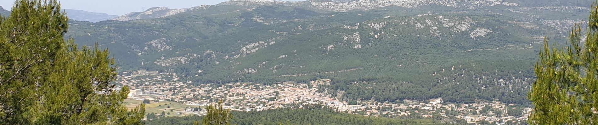 Tour Wandern Le Castellet - Sainte Anne du Castellet - Photo