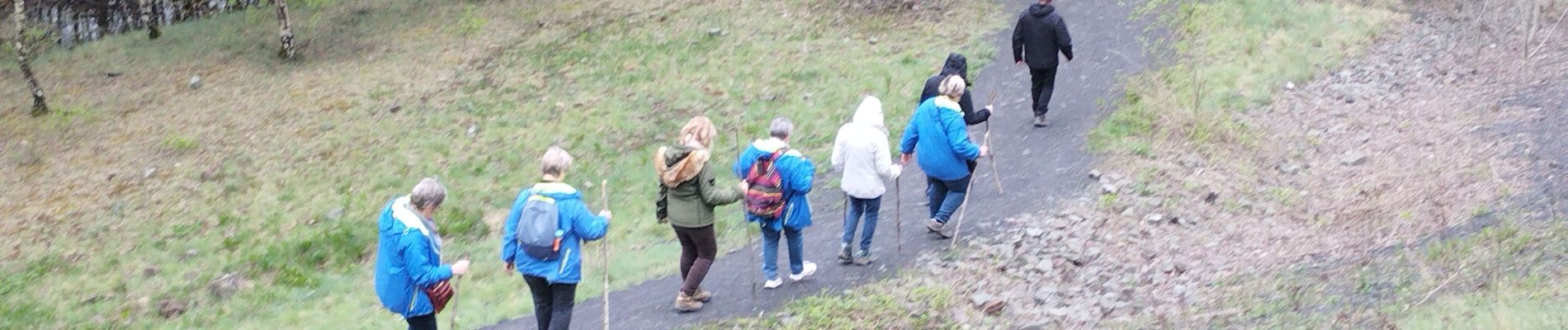 Tocht Stappen Raismes - Terril du lavoir Rousseau - Photo