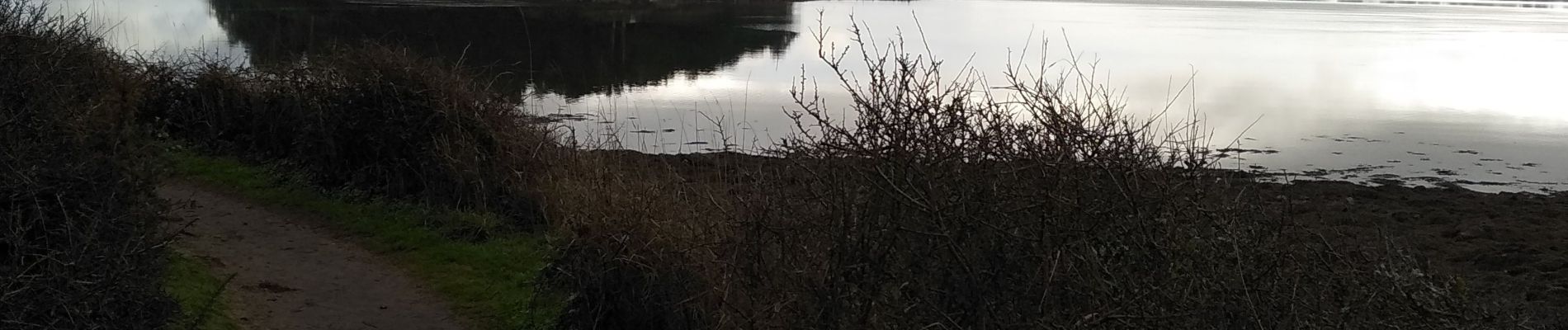 Randonnée Marche Baden - Les 7 îles  01/01/20 . - Photo