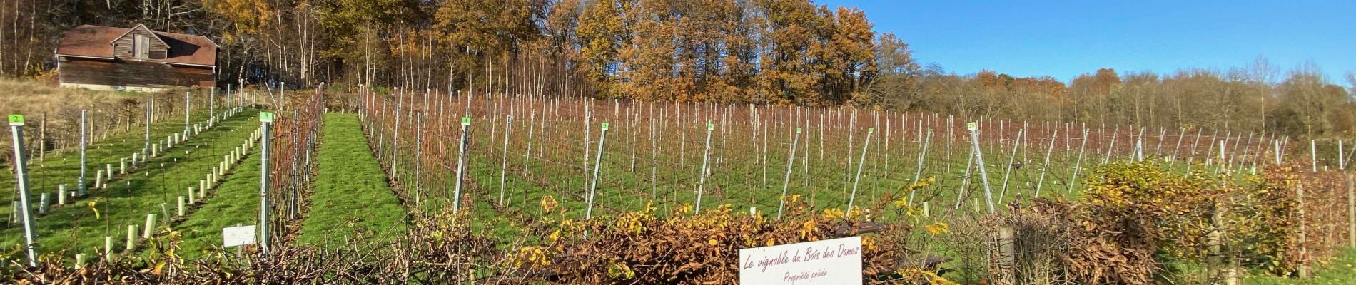 Randonnée Marche Lasne - Ohain - Genval - Rixensart - Photo