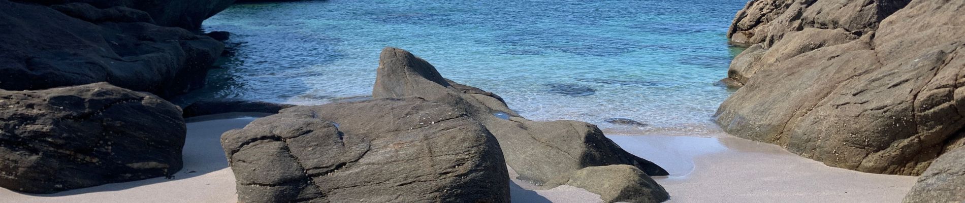 Tour Wandern Plougonvelin - Point est mathieu  - Photo