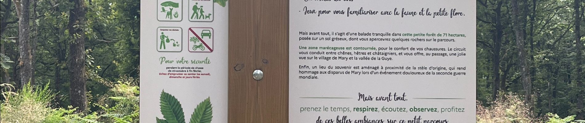 Randonnée Marche Mary - Mary - Les Brosses Tillots - Montmartin - Photo