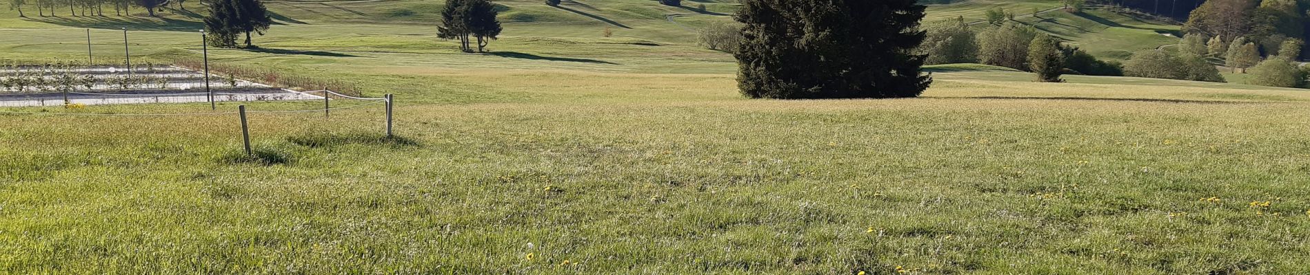 Randonnée Marche Havelange - gros-chêne Chêne barvaux cdz - Photo