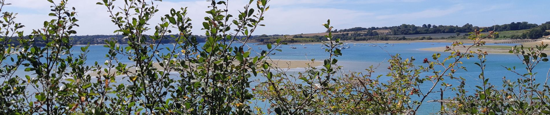 Trail Walking Saint-Jouan-des-Guérets - Saint Jouan des Guerets  - Photo