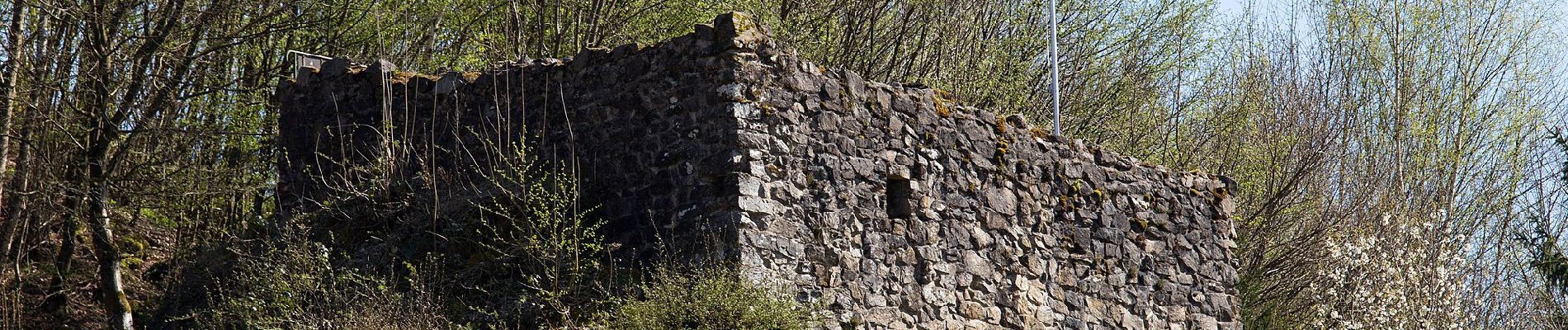 Tocht Te voet Oberwolfach - Guck a mol Wegle - Photo