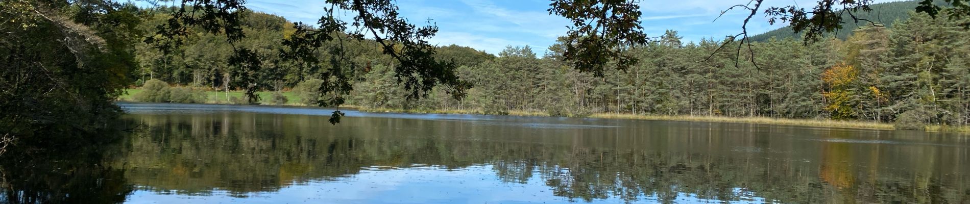 Trail  Treignac - Sob Treignac Corrèze - Photo