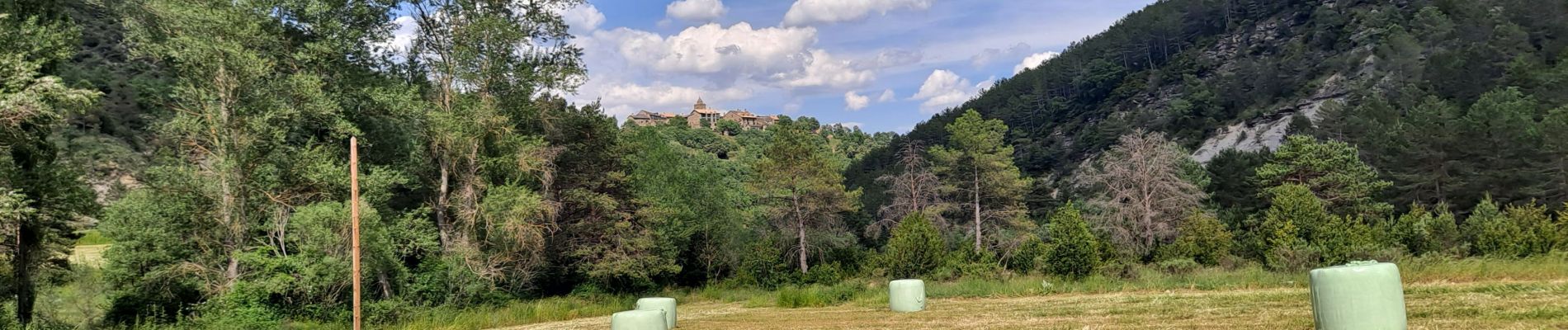 Tour Wandern Boltaña - Rio Siewte - Photo