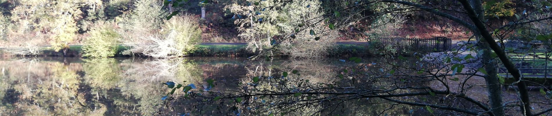 Tour Wandern Saint-Jacut-les-Pins - porté par l'eau et le vent  - Photo