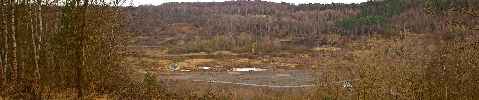 Tocht Te voet Messel - Rundwanderweg Messel 3: Kranichsteiner Weg - Photo