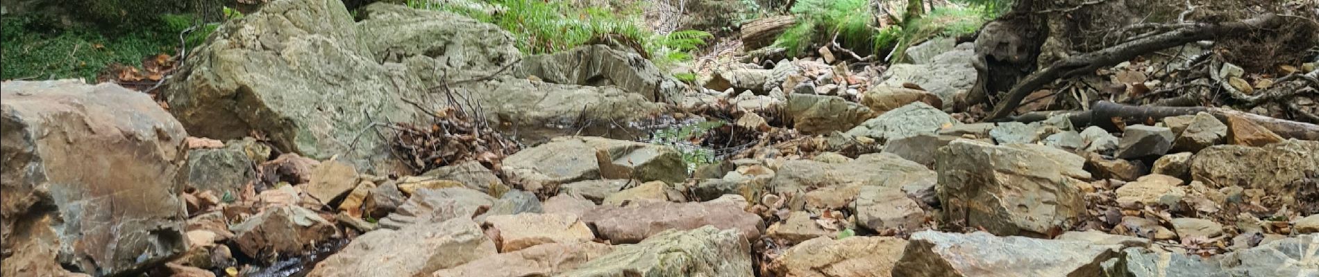 Percorso Corsa a piedi Aywaille - lingnispo - Photo