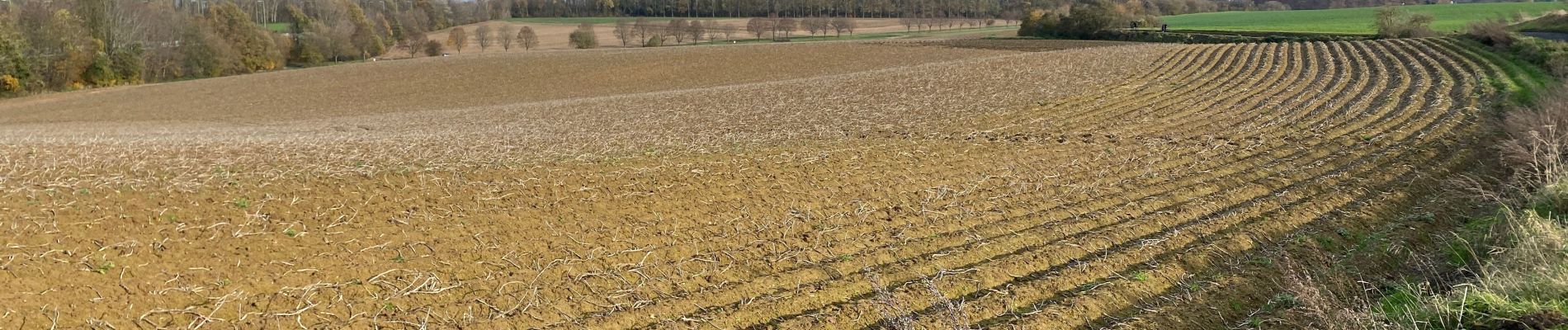 Tour Wandern Braine-l’Alleud - Bois seigneur Isaac  version splendide  - Photo