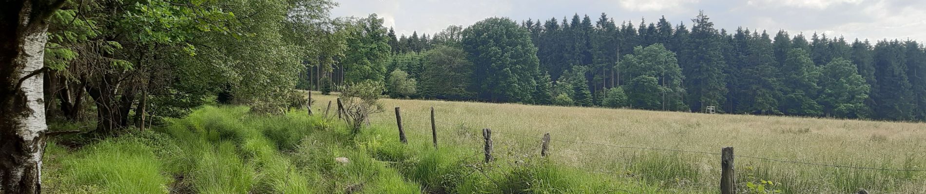 Tour Wandern Jalhay - solwaster : les arsins . wihonfagne . le rhus . morefagne - Photo