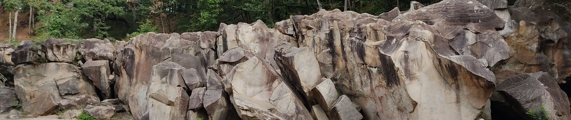 Tour Wandern Palaiseau - La carrière de la troche - Photo