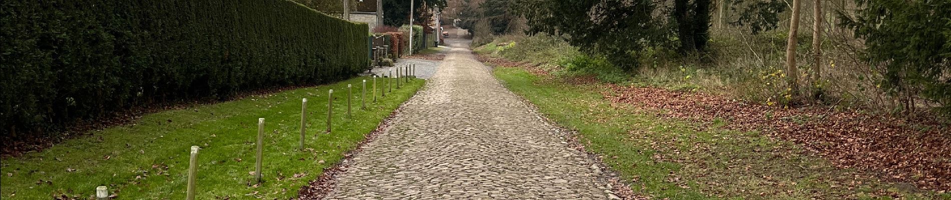 Randonnée Marche Fernelmont - Franc Waret - Photo