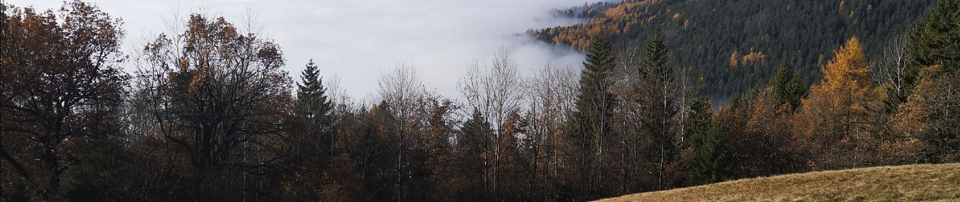 Excursión Marcha nórdica Arbaz - les 2 bisses  - Photo