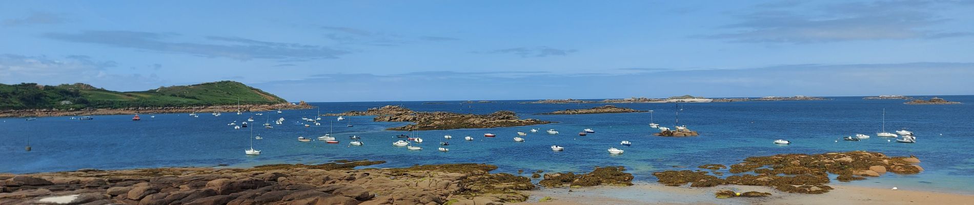 Tour Wandern Trébeurden - 20230719 Trebeurden1 - Photo