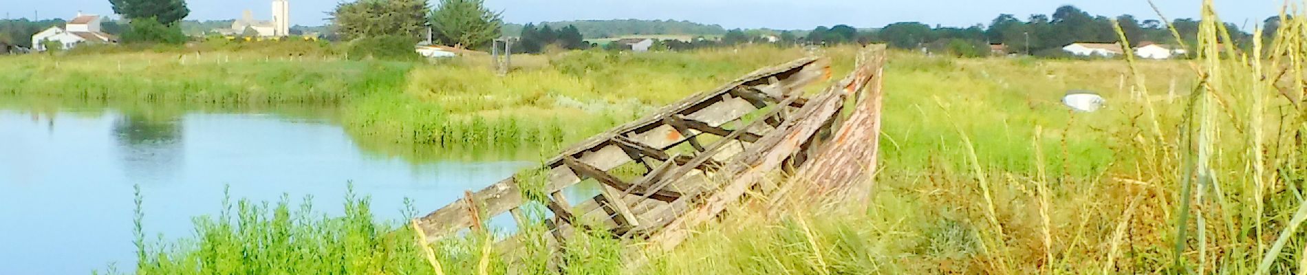 Tocht Stappen Mornac-sur-Seudre - 17  Plordonnier  7km300 - Photo