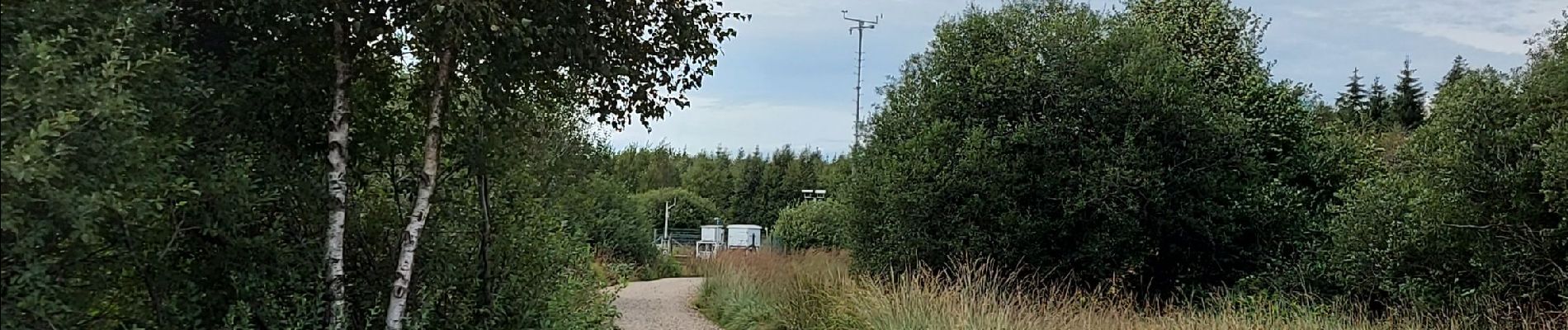 Randonnée Marche Waimes - Promenade de Poleur  - Photo