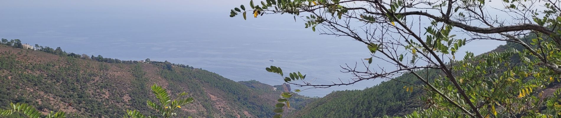 Tour Wandern Saint-Raphaël - la dent de l'ours Esterel - Photo